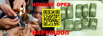 индика Ирбит
