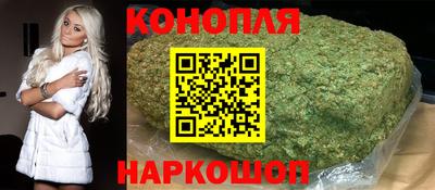 индика Ирбит