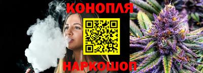 индика Ирбит