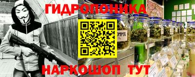 индика Ирбит